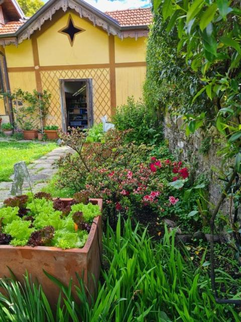 Ca Balossa, Tremezzina Lago Di Como Davanti A Bellagio E Villa Balbianello Mezzegra Exterior photo